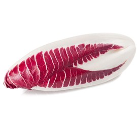 Endive Seeds - Red Treviso - 2 g Packet ~200 Seeds - Cichorium endivia - Farm & Garden Vegetable Gardening & Microgreens Seeds - Non-GMO, Heirloom, Open Pollinated, Annual