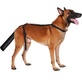 BARKLESS Dog Tail Protector, Dog Tail Guard for Medium Large Dogs, Adjustable Cover to Prevents Licking Wounds, Breathable Tail End Bag for Recovery (Black, L)