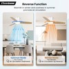 Modern Ceiling Fans with Lights, 42 Inch Ceiling Fan with