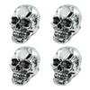 Bashineng Skull License Plate Bolts Fasteners License Plate Screw Decoration