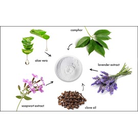 RAYA Camphor Soufflé Facial Cleanser 8 oz (101) | pH Balanced Face Wash for Oily, Blemished, and Break-Out Skin | Helps Reduce White-Heads and Black-Heads and Clear Clogged Pores