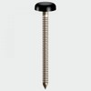 TIMCO PN50BL Polymer Headed Nail 50mm - Black (Box of