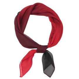 FAIRYGATE Summer Scarfs for Women Chiffon Scarf Fashion Sheer Lightweight Small Neck Shawl Wrap Scarves for Girls Ladies Red A2715