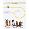 Joytale Light Up Dog Collar, Rechargeable Rainproof LED Collar for