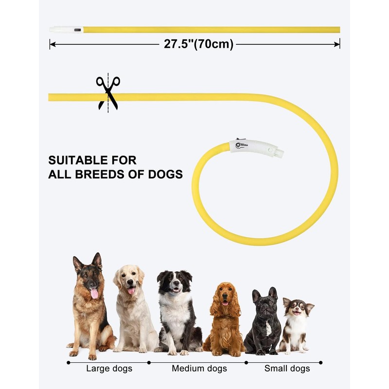 Joytale Light Up Dog Collar, Rechargeable Rainproof LED Collar for