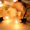 G40 String Light 2 Spare Bulbs Total Power 175W 27FT