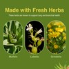 Herbs Etc. Lung Tonic - Lung Supplement for Bronchial Support