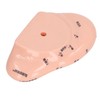 6.7in Ear Acupuncture Model Silicone Engraving Ear Massage Acupuncture Model