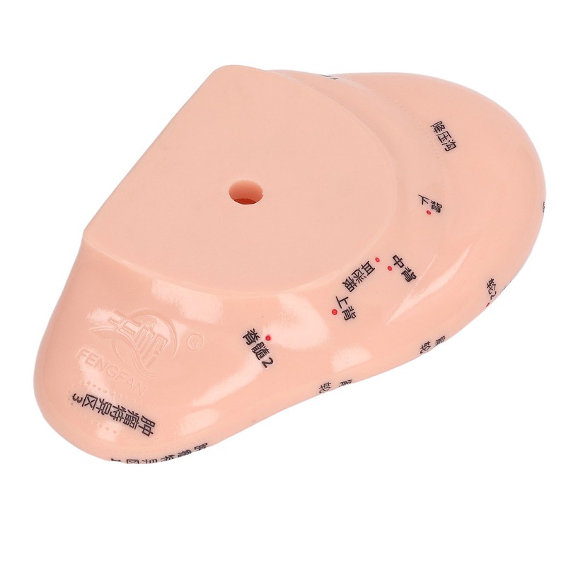 6.7in Ear Acupuncture Model Silicone Engraving Ear Massage Acupuncture Model