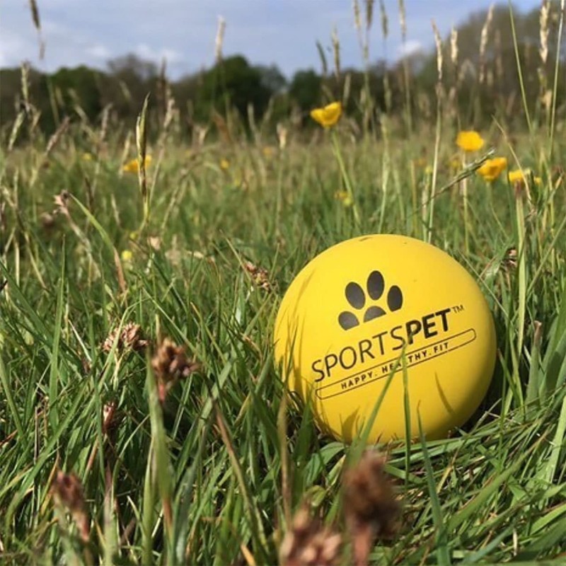 SPORTSPET Langlebige High Bounce Sport Bälle für Hunde 3er Pack