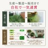 Arahataen Special Selection Gabugabu Shizuoka Deep Mushi Tea Pack with