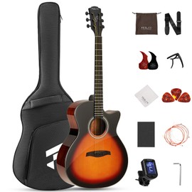 Fesley X 41" Acoustic Guitar Kit for Beginner: 4/4 Full Size Cutaway Acustica Guitarra Bundle for Adult Teen with Gig Bag, Tuner, Strap, Strings, Picks, Capo, FF60, Sunburst