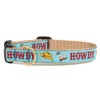 UP COUNTRY Blue Howdy Dog Collar (Large (15"-21") 1" Width)