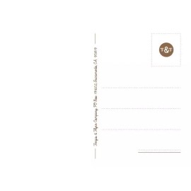 Postcard: Vintage Christmas / Winter - Art Nouveau Mistletoe and Holly Trees