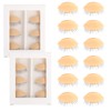 Eyelash Practice Eyelids, 6 Pairs Lash Mannequin Eyelids Replaceable Practice