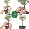 MOWEIN 50 Flash Ties 9 cm - Plant Ties for