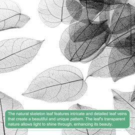 M METERXITY 100-Pack Skeleton Leaves, Natural Rubber Tree Dried Pressed Leaves Vein for Resin/DIY Crafts Card/Scrapbook/Wedding, Small Leaves Decorative [8-9cm, Black]