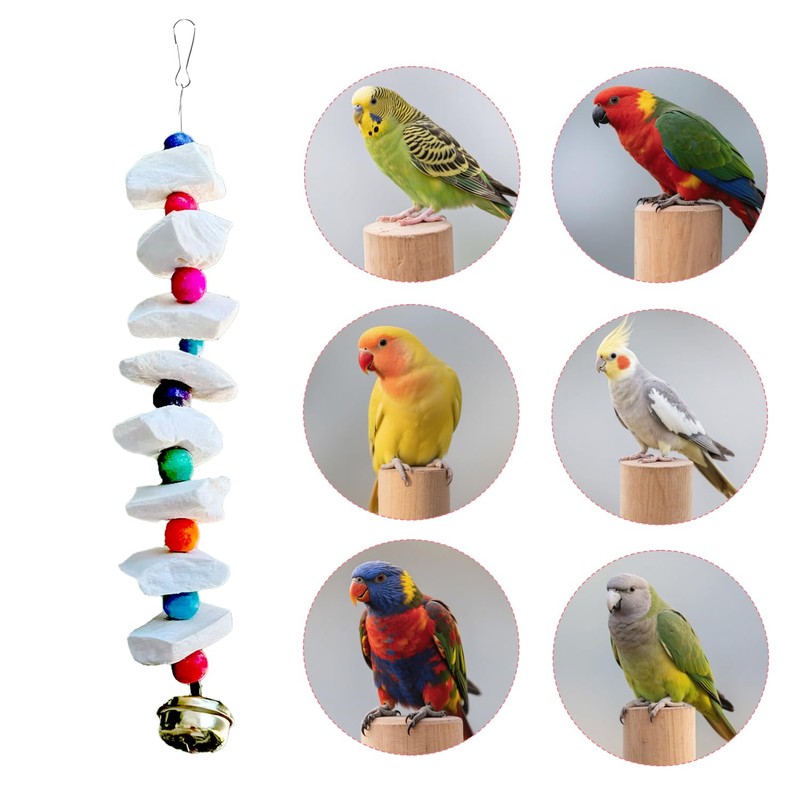 2 Pack Bird Toys with Millet Cuttlebone, Parakeet Toys, Bird