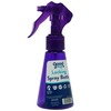 Handy Solutions Good To Go Locking Spray Bottle, 3 Ounce