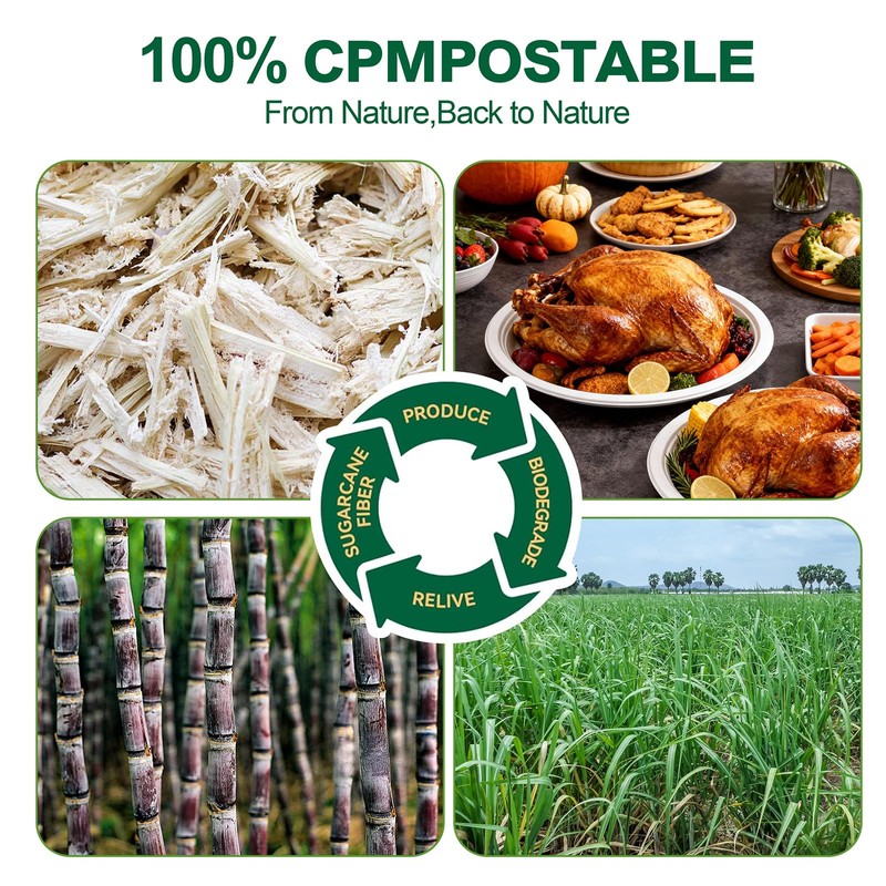 DaYammi 100% Compostable Oval Paper Plates 12 Inch, 125-Pack Heavy