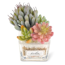 Kishima Eklia Deodorizing Artificial Green 3 S Size KH-61182 Size: Approx. W 3.3 x D 3.3 x H 4.3 inches (85 x 85 x 110 mm)