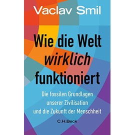 Wie die Welt wirklich funktioniert: Die fossilen Grundlagen unserer Zivilisation und die Zukunft der Menschheit