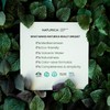 Naturica Soothing Shampoo Sensitive and Dandruff Prone Hair and Scalp