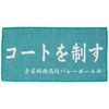 Haikyu Towel, Small, Turquoise