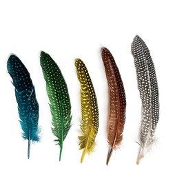 HAPPY FEATHER 6-9 inch Natural Guinea Wing Plumage Feather for DIY Craft, Jewelry and Clothing Decoration Pack of 20-Multi Color