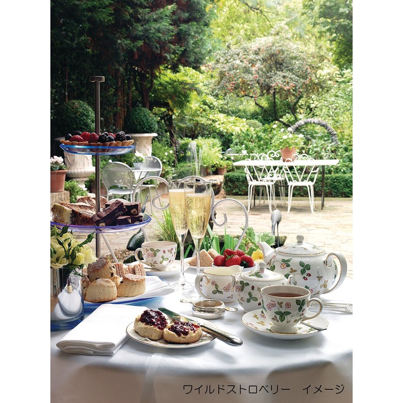 Wedgwood 50105506975 Wild Strawberry Tea Sugar Box, S, Wedding Gift,