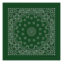Hav-A-Hank Hunter Green Paisley Bandanna, 22x22, Made in USA, Great for Crafts, Camping, Riding, Hiking