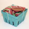 Pactiv Biodegradable M336126 Green Pulp 1 Pint Sized Berry Basket