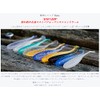 INX LABEL Fry Shad Baity 1.8" #G01 Holo Clear