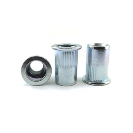 10 x Blind Rivet Nuts M10 Flat Round Head Rivet Nut Rivet Nut Galvanised Steel