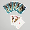 Sea Otter Up Close (52 Playing Cards, Poker Size Card