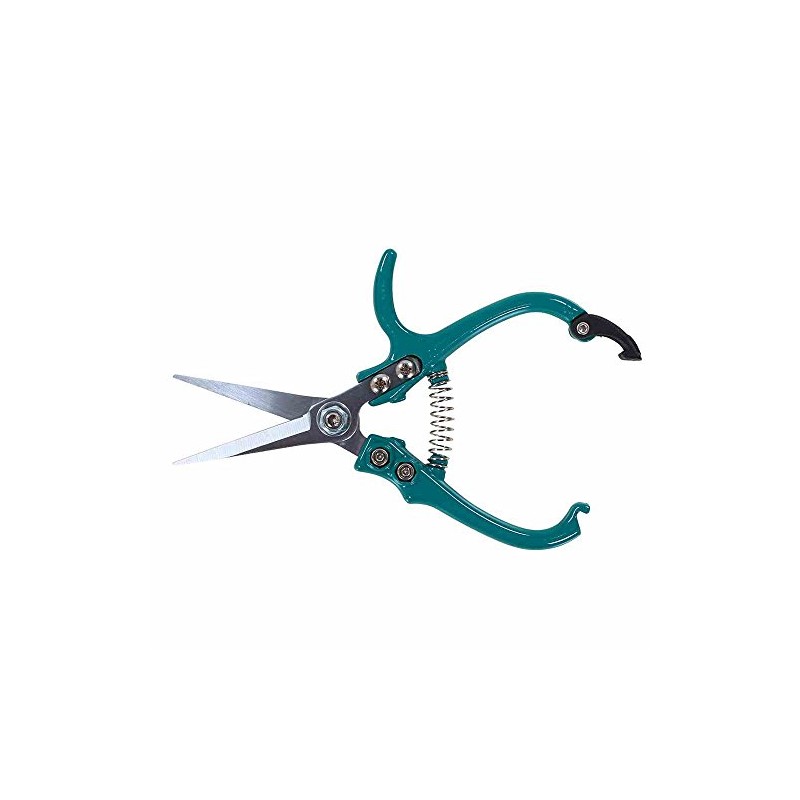 Siena Garden CG2090 Florists Scissors, Turquoise, 16.9 x 8.3 x