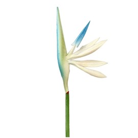 8 Pack 21-1/2 Inch Artificial Flowers Bird of Paradise,Green Plant for Home Garden Decoration Office Verandah Wedding Decorations (White)