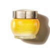 L'OCCITANE - Immortelle Divine Youth Face Cream - 50 ml