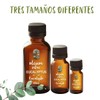 OLEUM VITAE Aceite Esencial de Eucalipto 120ml. Eucalyptus Globulus 100%