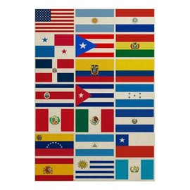 Latin America 21 Countries Garden Flags - Assorted Latino Flag Banners Heritage Hispanic Month String Flags For Spanish Classroom School Decorations National Country Hispanic Events Sports Bars.