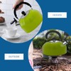 Premium Stainless Steel Whistling Kettle | 10 Colors | Stove