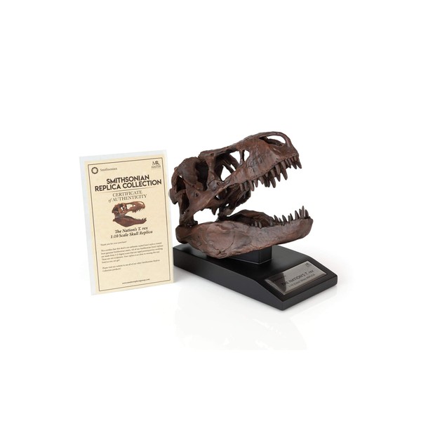 The Nation's T-Rex Skull Statue | Smithsonian Fossil Replica | 6-Inch Tall Tyrannosaurus Rex Desk Statue | 1:10 Scale