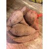 Louisiana Sweet Potatoes (8)