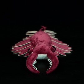 Tiny Heart Cambrian Anomalocaris Plush Toy, 6 inches, Soft Anomalocaris Plush Toy, Simulation Series Soft Cambrian Anomalocaris Plush Toy, Doll Cushion for Children and Nature Lovers, Red