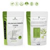 Generic 100 Tea Bag Kalanchoe Pinnata Powder Healthy Pure Leaves