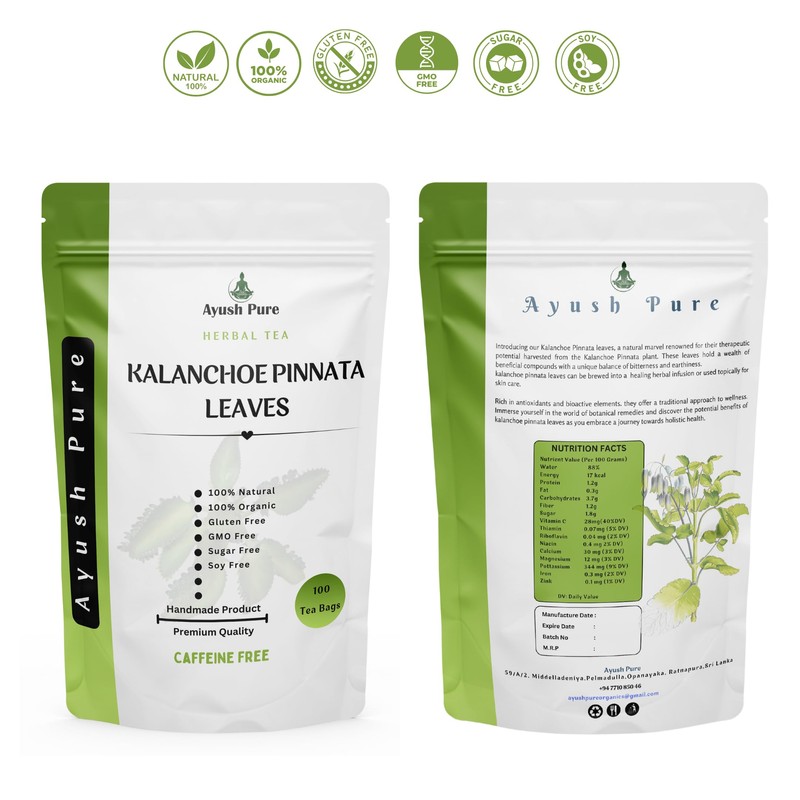 Generic 100 Tea Bag Kalanchoe Pinnata Powder Healthy Pure Leaves