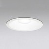 odelic (odelic) [Construction Need] LED ekusuteriadaunraito (to) For [Incandescent W