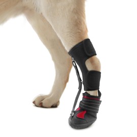 Strap-On Drop Foot Brace (No Knuckling Boot Brace) for Dogs— Corrective Dog Shoes to Safely Lift Toes for Foot Issues, Arthritis, and improving Walking gait in Dogs(M)