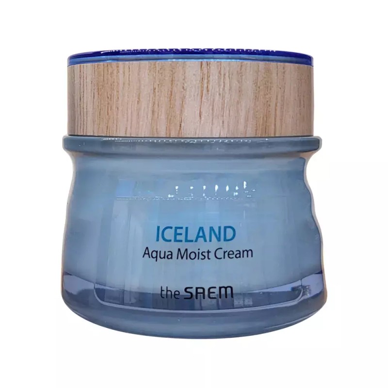 The Saem 더샘 아이슬란드 아쿠아 모이스트 크림 60ml 수분 The
