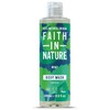 Faith In Nature Natural Mint Body Wash, Uplifting, Vegan &
